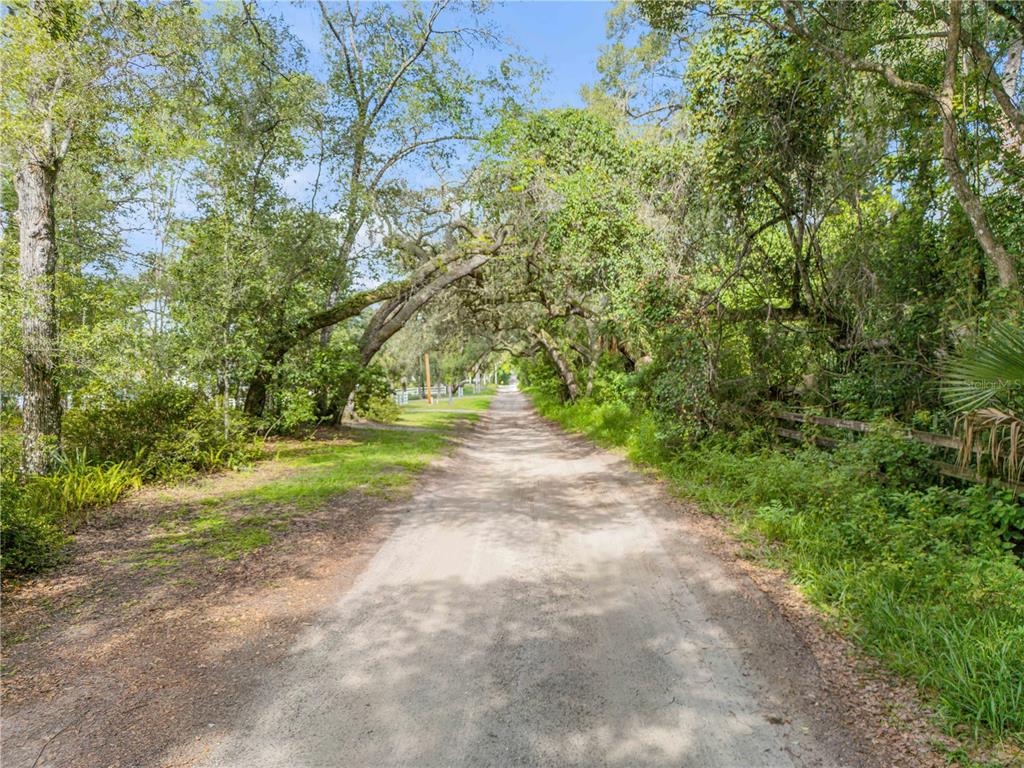 A dirt road winds through a lush, tree-lined path with dense foliage on both sides — 1080 E FRENCH AVENUE, ORANGE CITY, FL