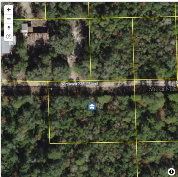 This is a map showing a wooded lot located along a dirt road — TBD NE 236 STREET, FORT MC COY, FL