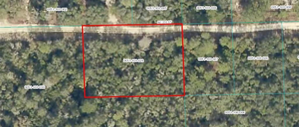 This is an aerial map showing a rectangular plot of land outlined in red — TBD NE 236 STREET, FORT MC COY, FL