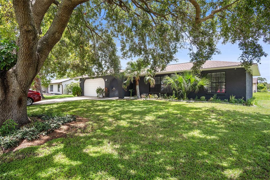 A dark-painted single-story house with a white garage door sits behind a large oak tree — 1177 LIZA STREET, ST CLOUD, FL