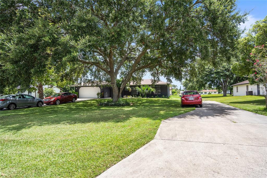 A single-story house with a large tree in the front yard and a concrete driveway — 1177 LIZA STREET, ST CLOUD, FL