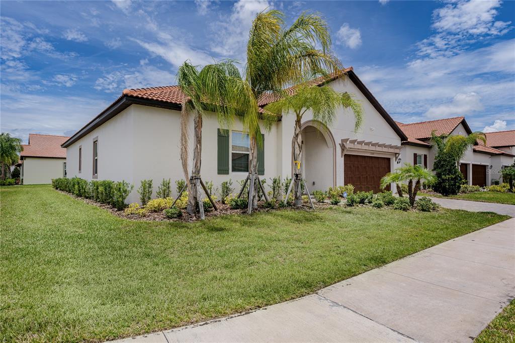 A single-story house with a stucco exterior, tile roof, and two palm trees in front — 17439 HOLLY WELL AVENUE, WIMAUMA, FL
