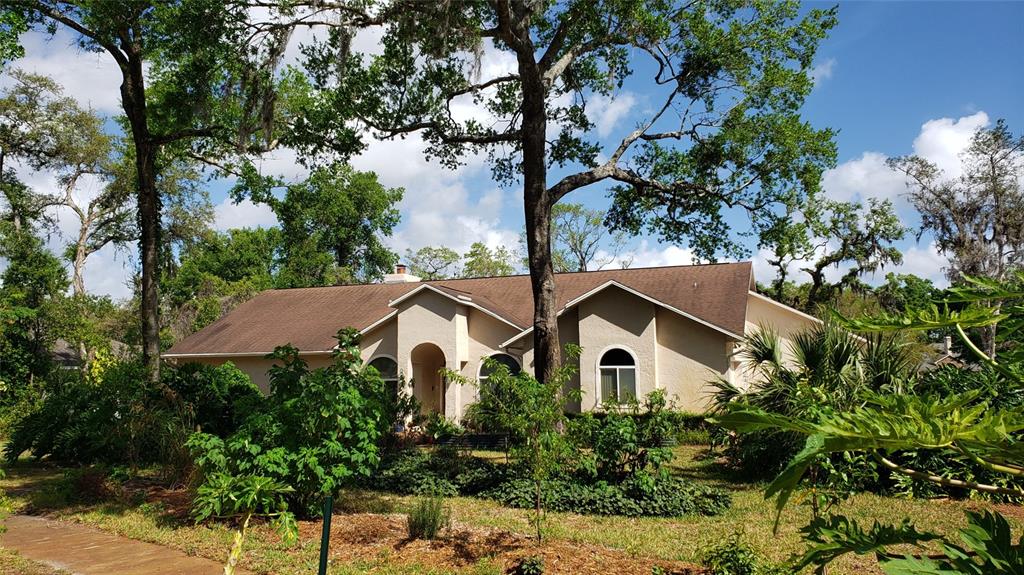 398 PINE TREE ROAD