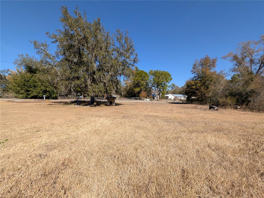 A large, dry, grassy vacant lot features a prominent tree and a small structure — 342 CREEKWOOD RUN, LAKELAND, FL