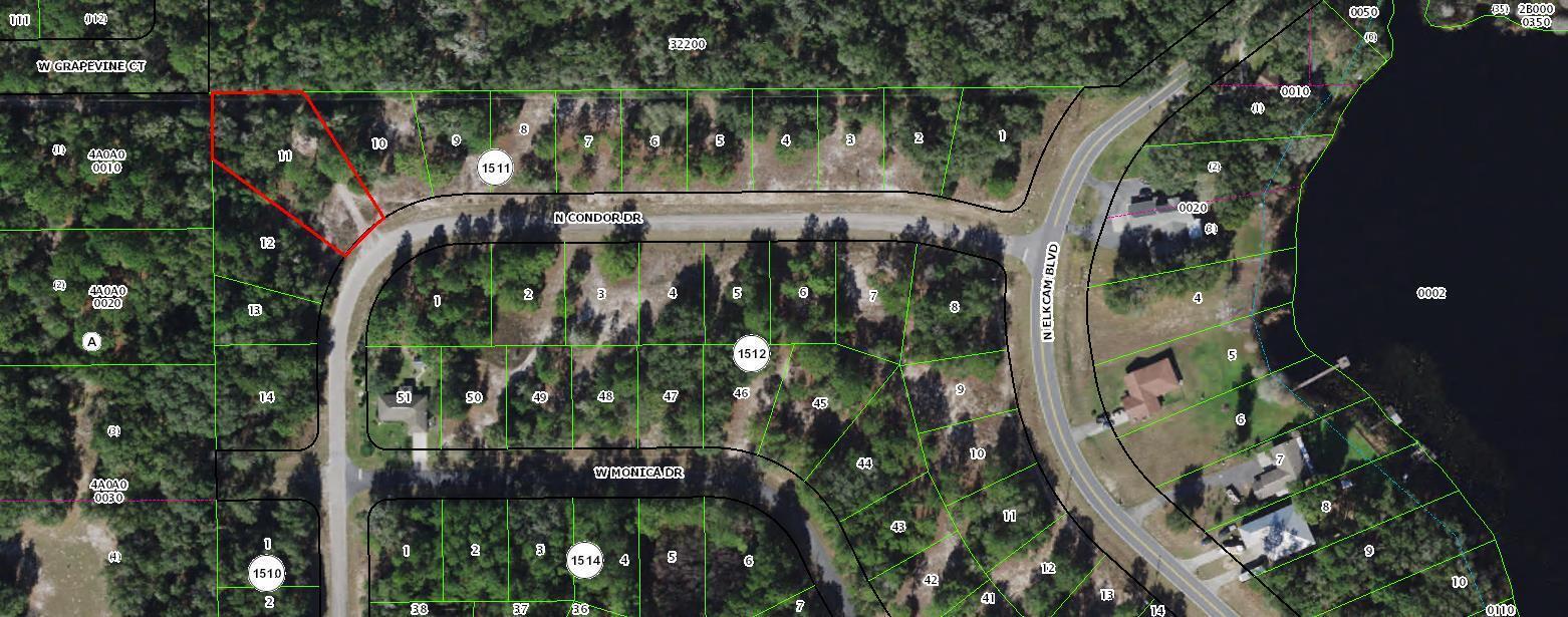 11960 N Condor Drive, FL 34433