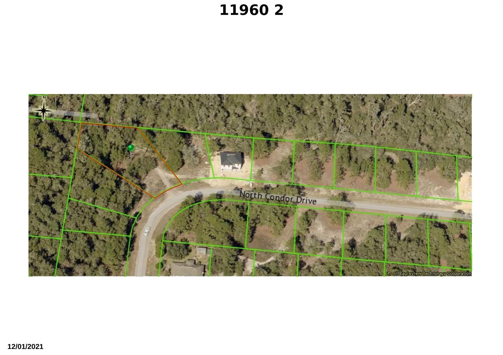 This is an aerial map showing a wooded residential lot outlined in orange along a road — 11960 N Condor Drive, FL 34433, FL