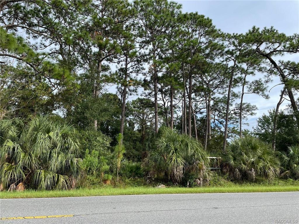A paved road runs in front of a wooded lot with pine trees and palmettos — 7852 W HOMOSASSA TRAIL, HOMOSASSA, FL