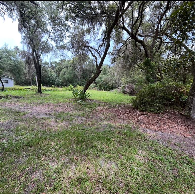 A grassy, tree-lined lot features mature oaks with Spanish moss and a small structure nearby — 18625 NE 238TH TERRACE, FORT MC COY, FL