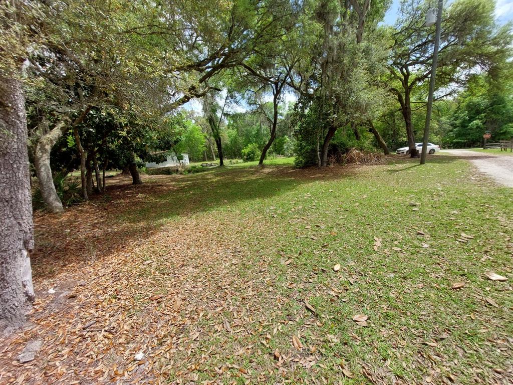A grassy, tree-shaded lot with a gravel driveway and a small white building in back — 18625 NE 238TH TERRACE, FORT MC COY, FL