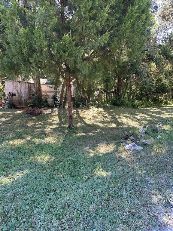 A grassy yard features a small shed and several trees under a bright sky — OCASTA AVENUE, NEW PORT RICHEY, FL