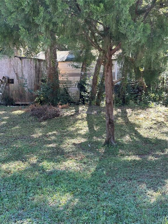 A weathered shed and a small house are partially obscured by trees in a yard — OCASTA AVENUE, NEW PORT RICHEY, FL