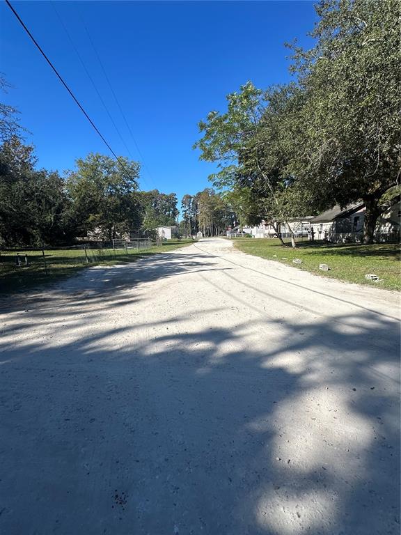A dirt road leads through a residential area with trees and houses on both sides — OCASTA AVENUE, NEW PORT RICHEY, FL