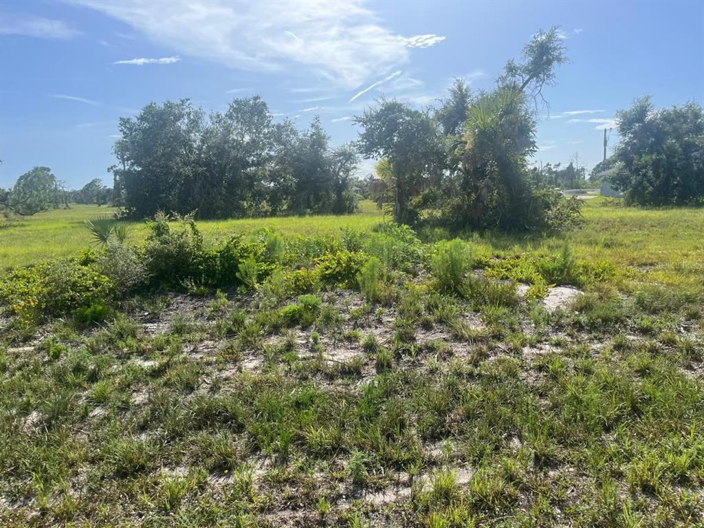 A vacant, grassy lot features scattered shrubs and trees under a bright blue sky — 108 BRIG CIRCLE E, PLACIDA, FL