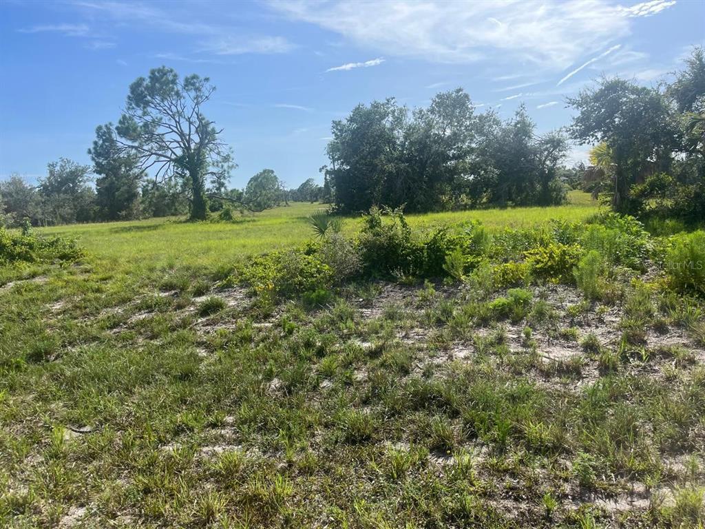 A wide, grassy field with scattered trees and shrubs under a blue sky — 108 BRIG CIRCLE E, PLACIDA, FL