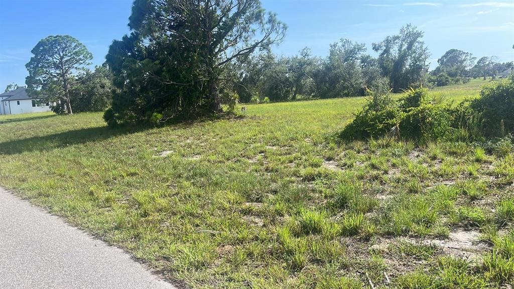 A grassy, undeveloped residential lot with scattered trees and shrubs next to a paved road — 108 BRIG CIRCLE E, PLACIDA, FL