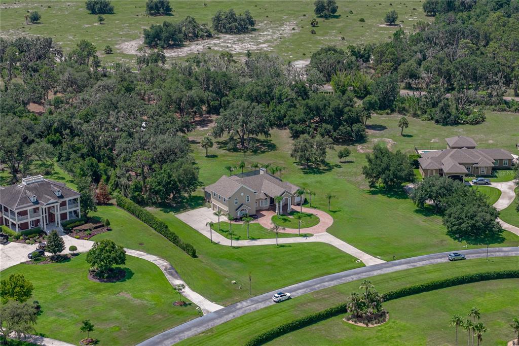 An aerial view shows three large houses surrounded by expansive green lawns and mature trees — 11518 HAMMOCK OAKS COURT, LITHIA, FL