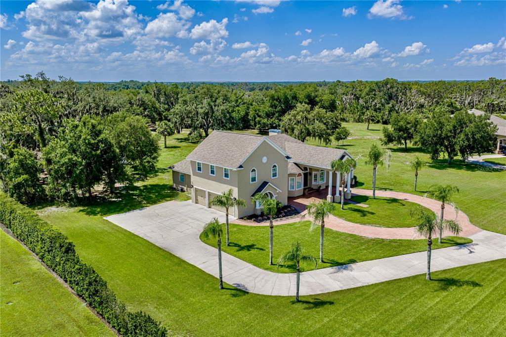 An aerial view shows a two-story house with a concrete driveway and palm trees — 11518 HAMMOCK OAKS COURT, LITHIA, FL