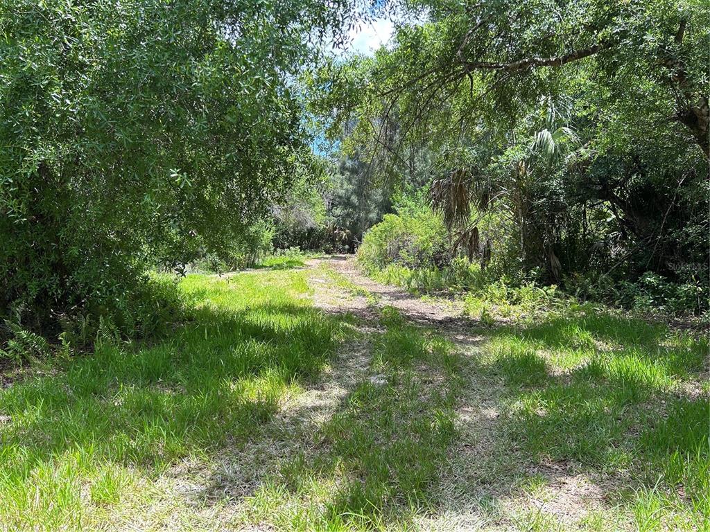 A grassy path leads through a wooded area with dense trees and foliage — 7022 RIVERSIDE DRIVE, PUNTA GORDA, FL
