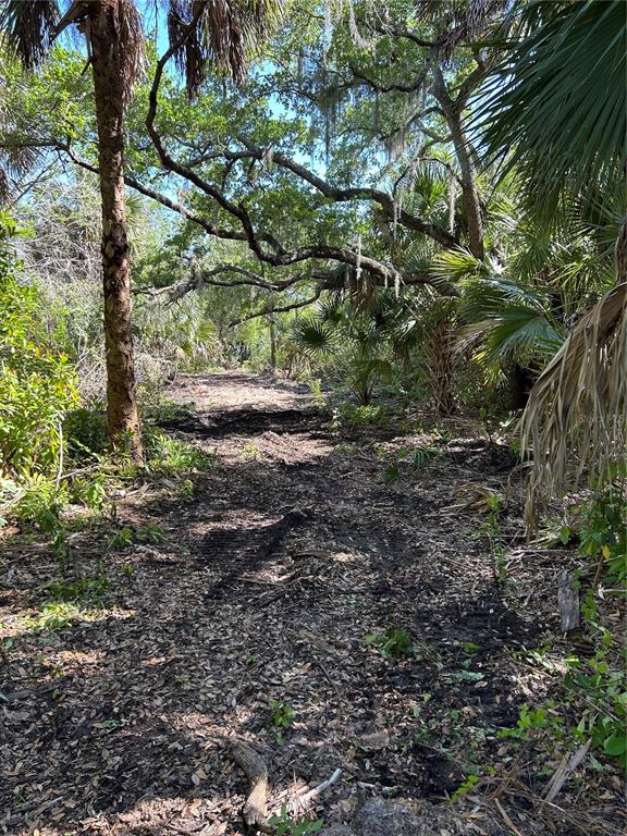 A dirt path winds through a wooded area with palm trees and hanging Spanish moss — 7022 RIVERSIDE DRIVE, PUNTA GORDA, FL