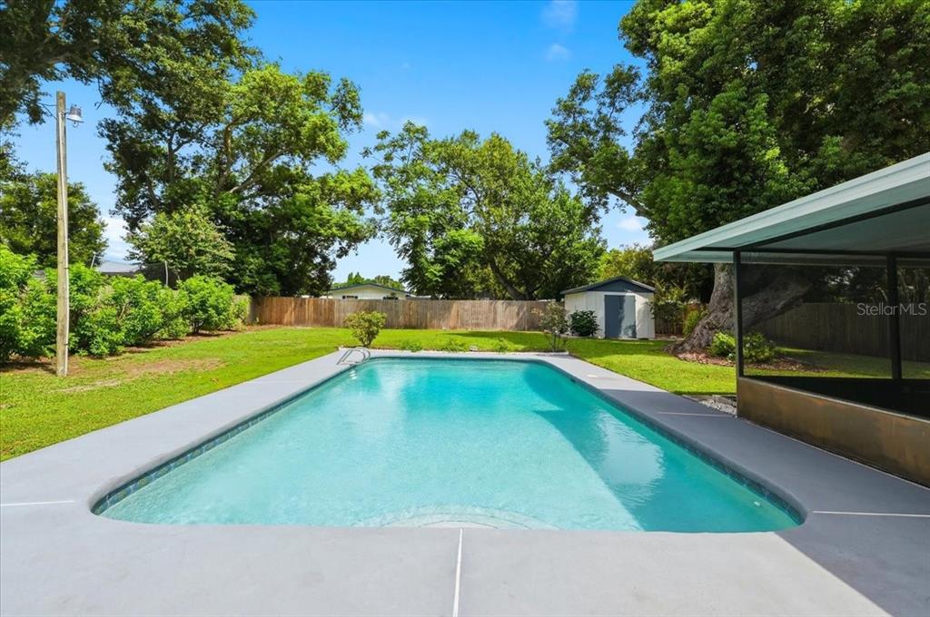 A rectangular swimming pool sits in a grassy backyard with a shed and wooden fence — 1557 N LAKE SHIPP DRIVE SW, WINTER HAVEN, FL