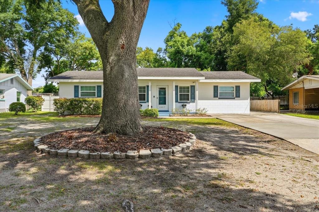 A single-story white house with blue shutters sits behind a large tree in the yard — 1557 N LAKE SHIPP DRIVE SW, WINTER HAVEN, FL