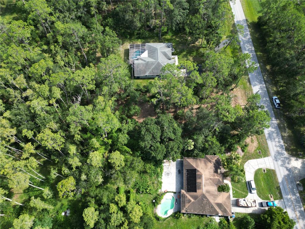 An aerial view shows two houses with swimming pools surrounded by dense woods and trees — 6760 QUAIL HOLLOW BOULEVARD, WESLEY CHAPEL, FL