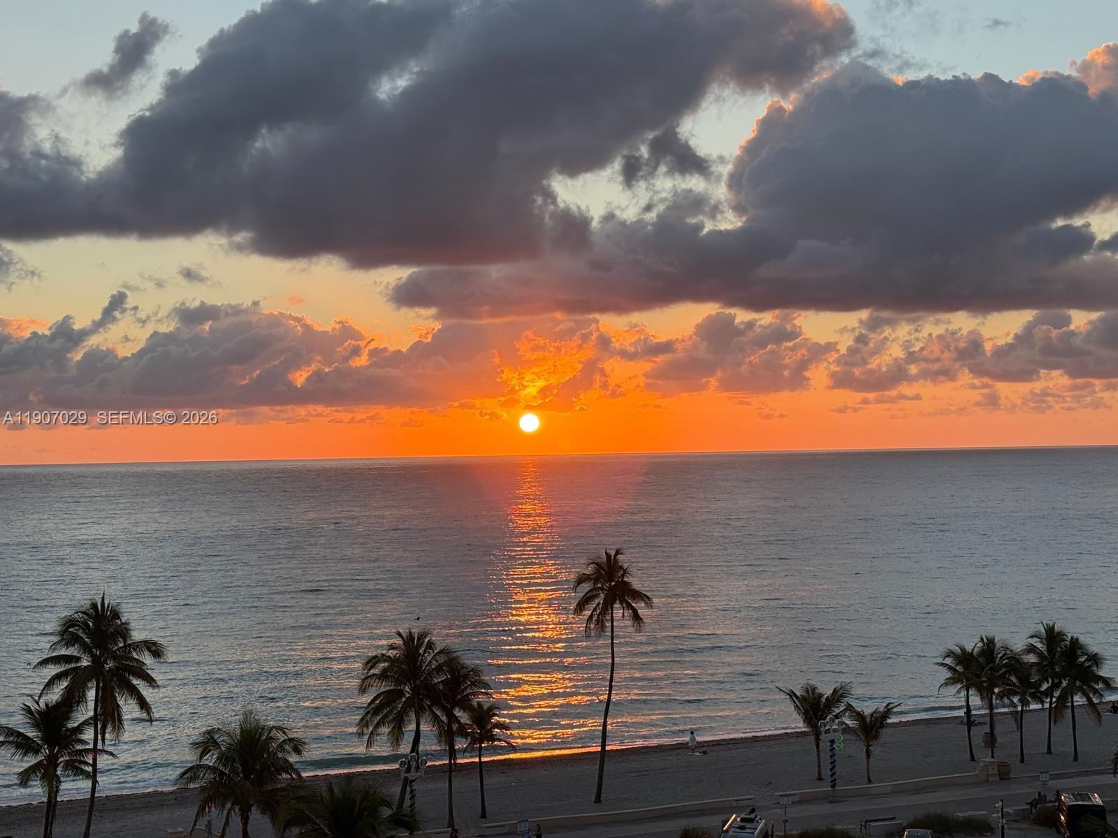 A sunrise view over the ocean with palm trees on a sandy beach — 3111 N Ocean Dr # 811, Hollywood FL 33019, HOLLYWOOD, FL