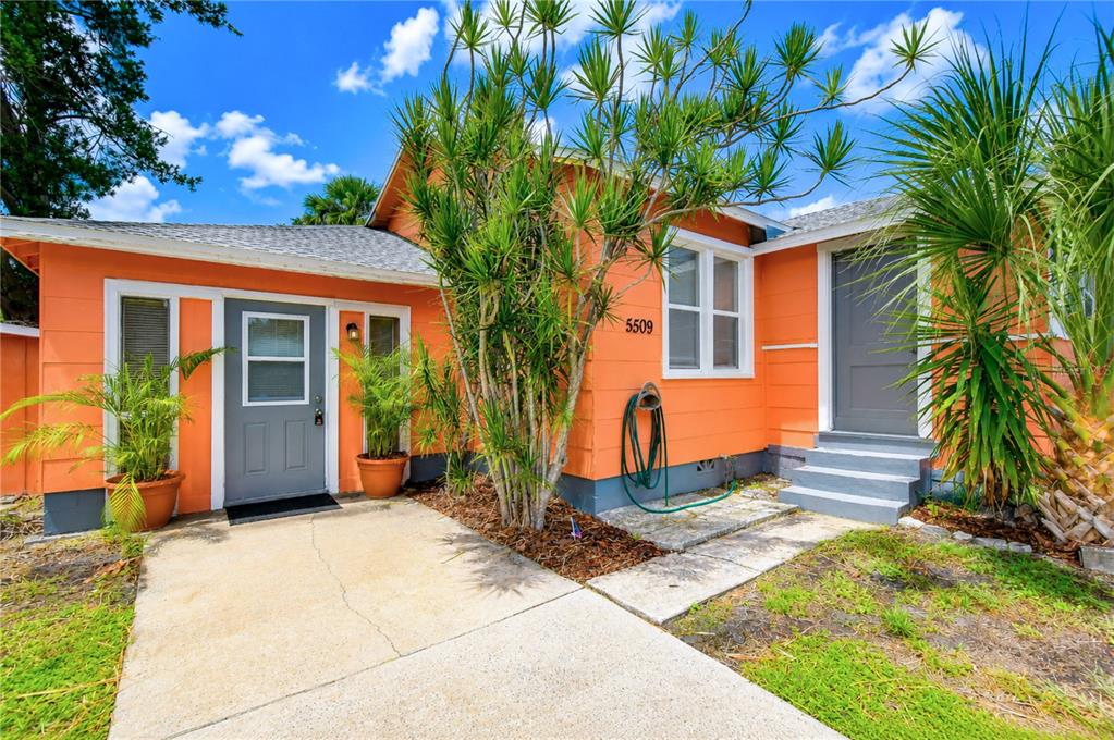 An orange house exterior features two gray doors, a concrete walkway, and potted palm plants — 5509 15TH AVENUE S, GULFPORT, FL