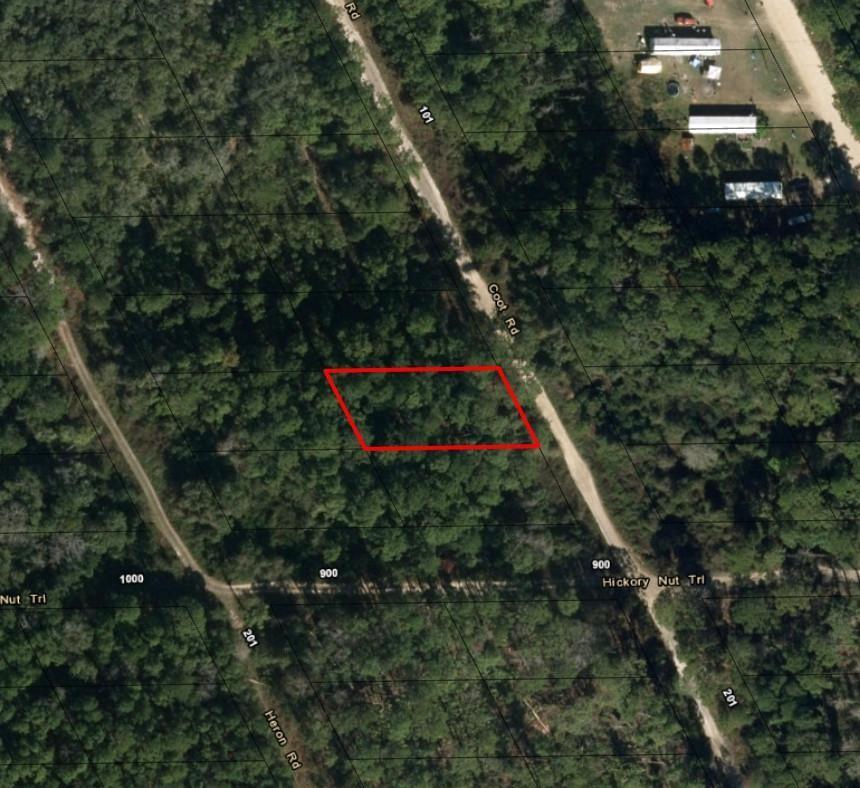 This is an aerial map showing a rectangular plot of land outlined in red — 123 Coot Road, FL 32189, FL