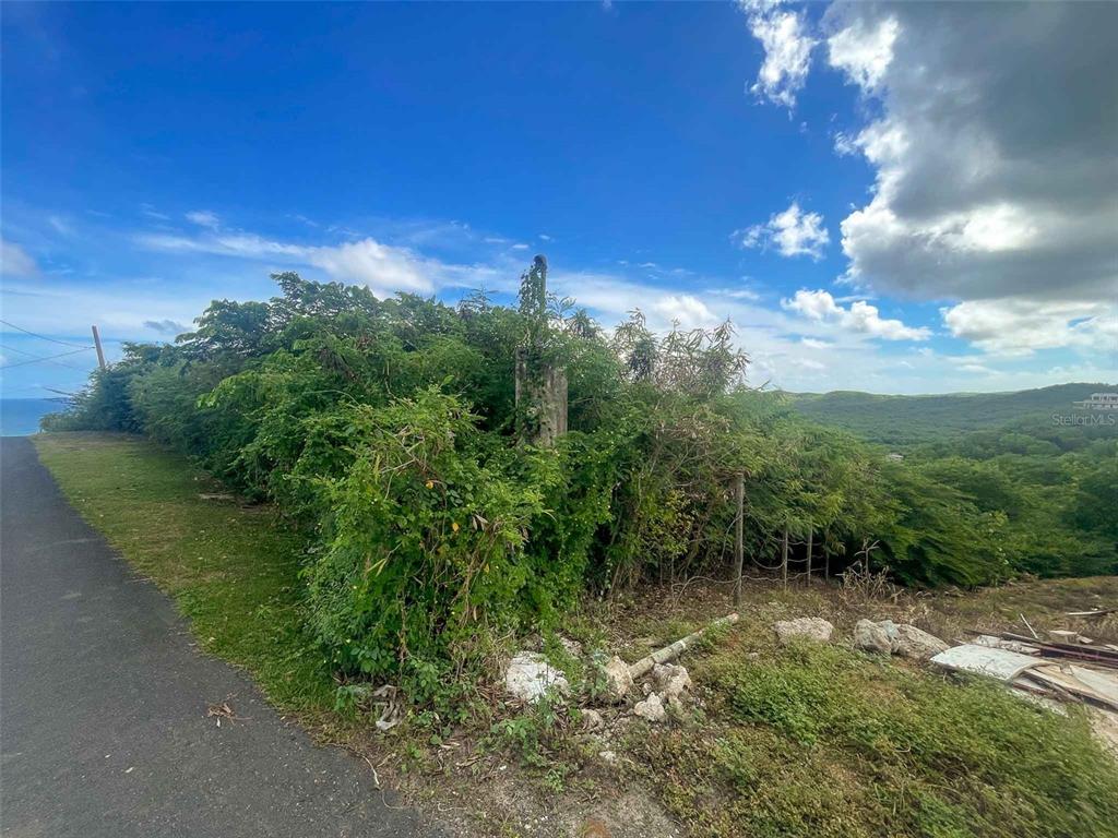 A paved road runs alongside a grassy, overgrown hillside with a view of the ocean — 154 CALLE BASTIMIENTO, VIEQUES, PR