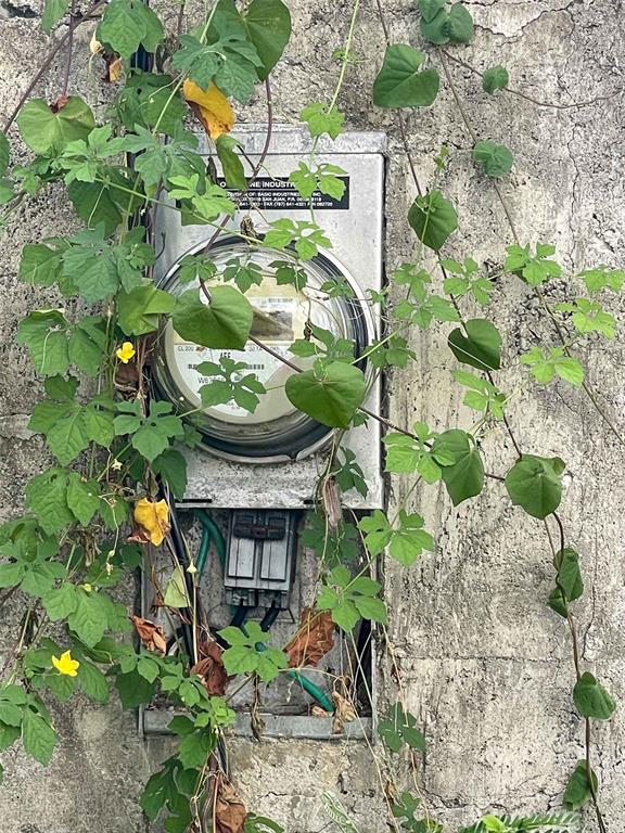 An electric meter box mounted on a concrete wall is partially covered by climbing vines — 154 CALLE BASTIMIENTO, VIEQUES, PR