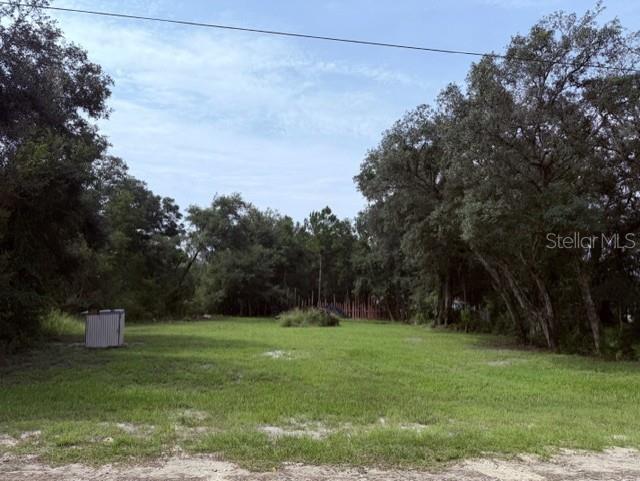 A grassy, vacant lot is surrounded by mature trees with a small shed on the left — 35356 KRAMER STREET, WEBSTER, FL