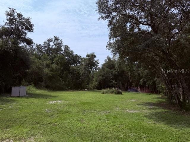 A grassy, tree-lined lot features a small metal storage shed on the left side — 35356 KRAMER STREET, WEBSTER, FL