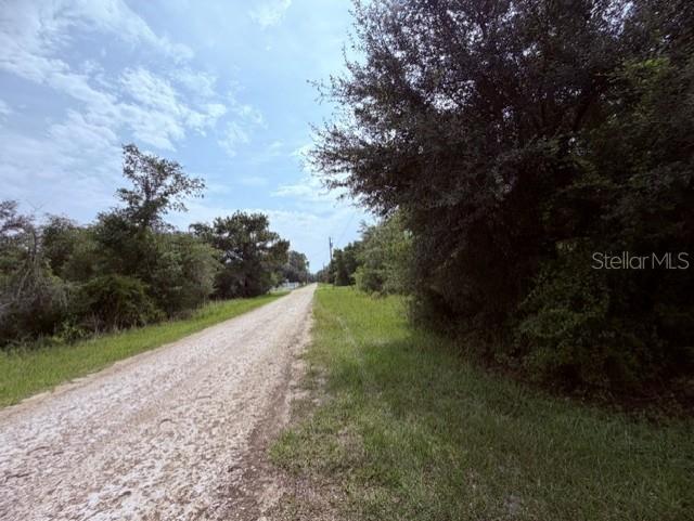 A gravel road stretches into the distance between grassy fields and dense trees — 35356 KRAMER STREET, WEBSTER, FL