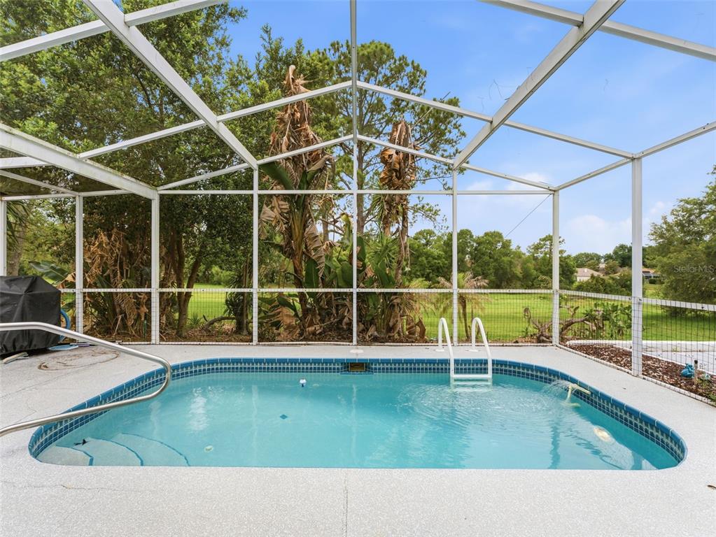 A screened-in swimming pool with blue tile trim sits on a concrete patio — 10439 CASA GRANDE CIRCLE, SPRING HILL, FL