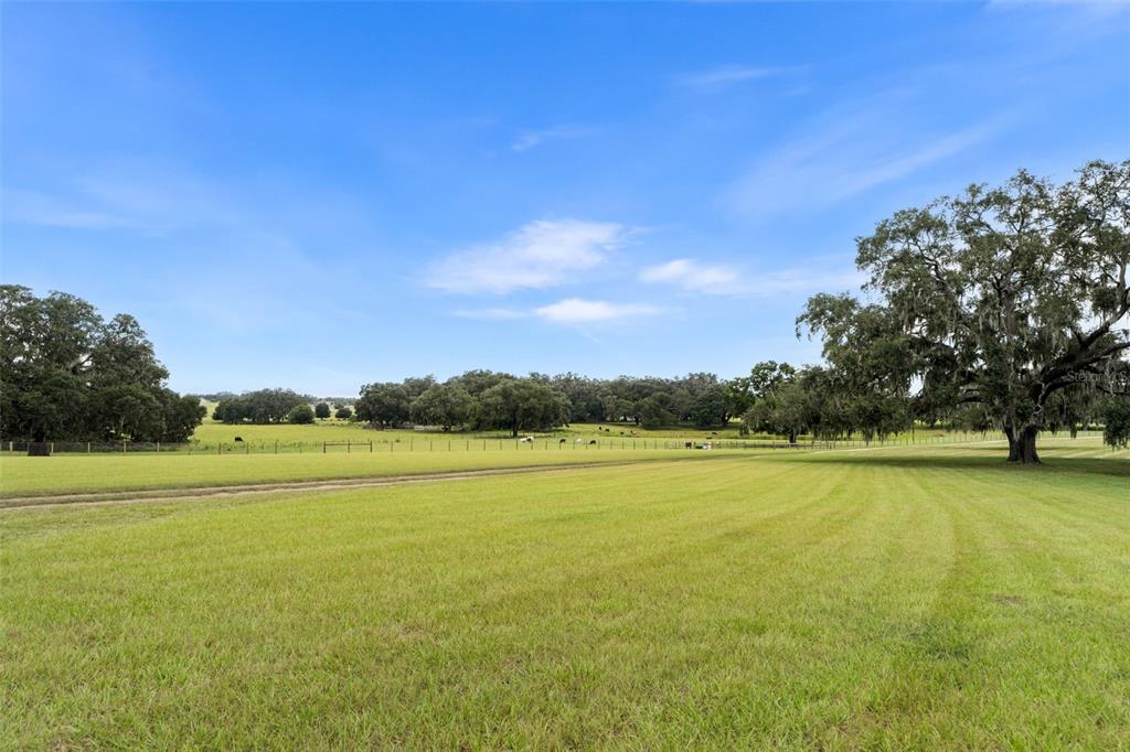 23220 NW 27TH ST, MORRISTON, FL — photo 4 of 30
