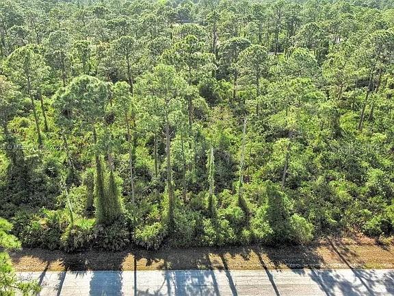 2019 COLUMBUS AVENUE, ALVA, FL — photo 2 of 13
