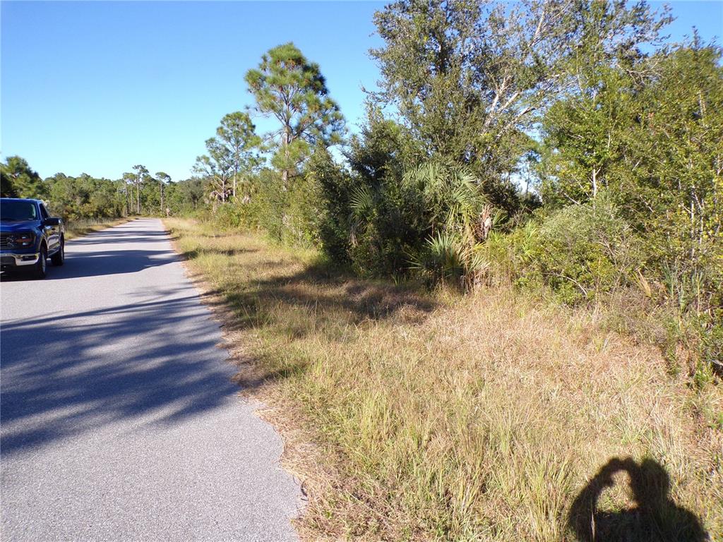 A paved road runs alongside a grassy shoulder and a line of trees and shrubs — 442 LACKLAND STREET, PORT CHARLOTTE, FL