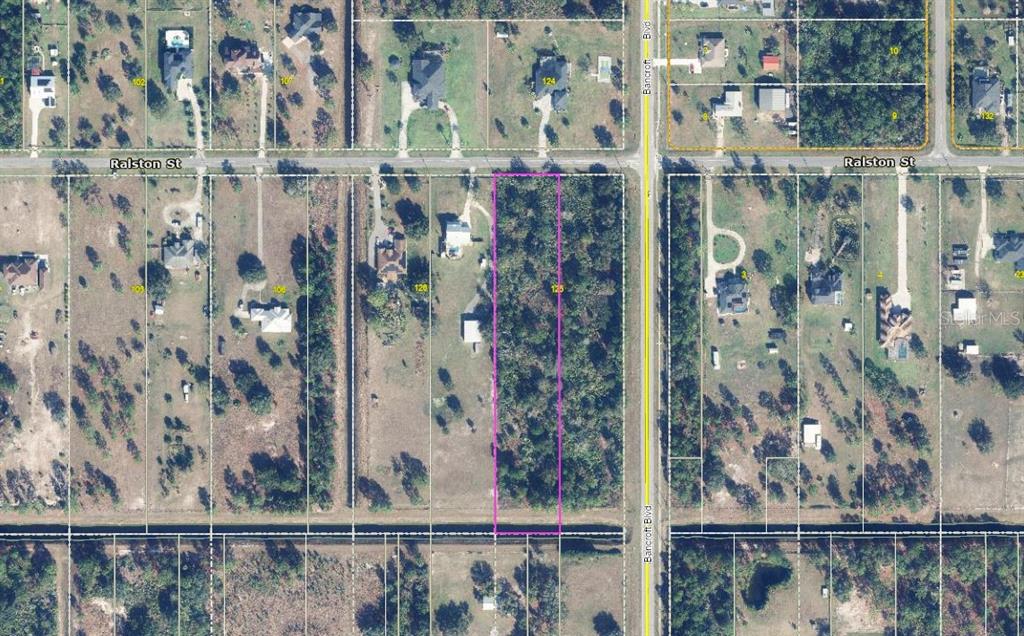 An aerial map view shows a rectangular vacant lot outlined in pink along a road — RALSTON STREET, ORLANDO, FL