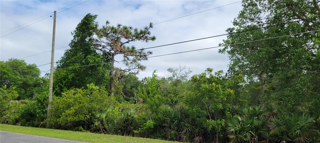 A view of a vacant, wooded lot featuring a utility pole and power lines — RALSTON STREET, ORLANDO, FL