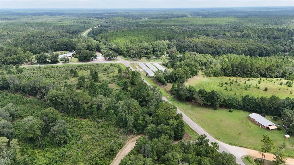 An aerial view shows a rural landscape with a road, scattered buildings, and forested areas — PATE POND ROAD, CARYVILLE, FL