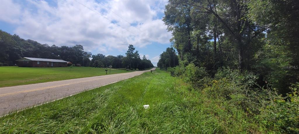 A paved road runs alongside a grassy area with trees and a brick house nearby — PATE POND ROAD, CARYVILLE, FL