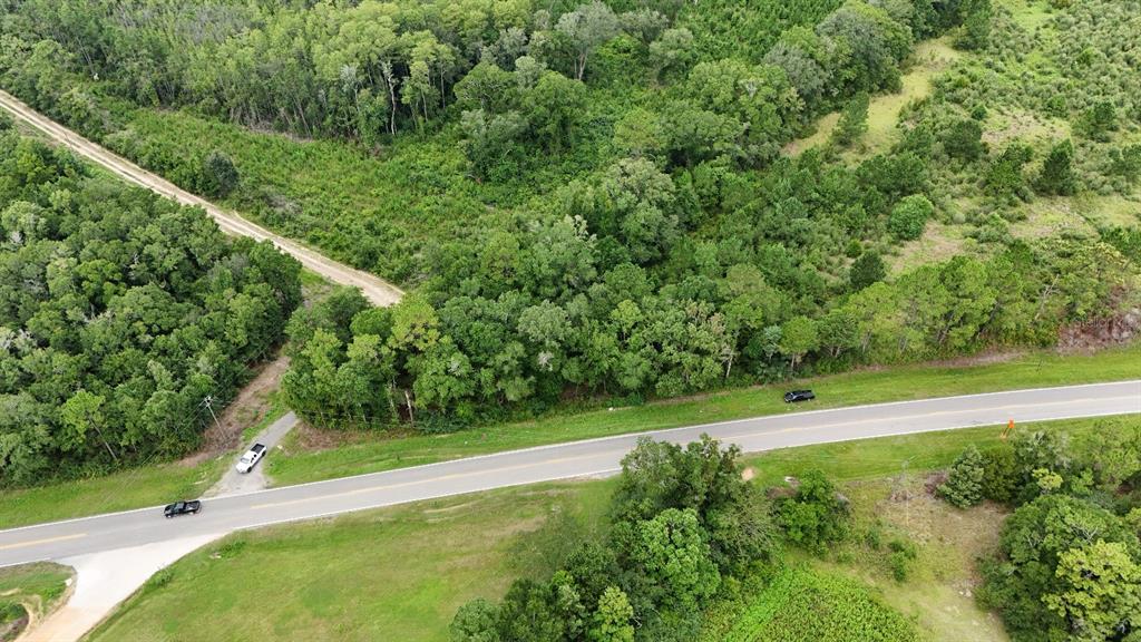 An aerial view shows a paved road intersecting with a dirt path near wooded land — PATE POND ROAD, CARYVILLE, FL