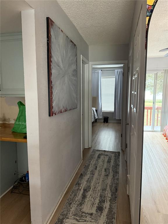 A hallway with light wood flooring leads to a bedroom with a window and curtains — 1290 83RD AVENUE N UNIT D, ST PETERSBURG, FL