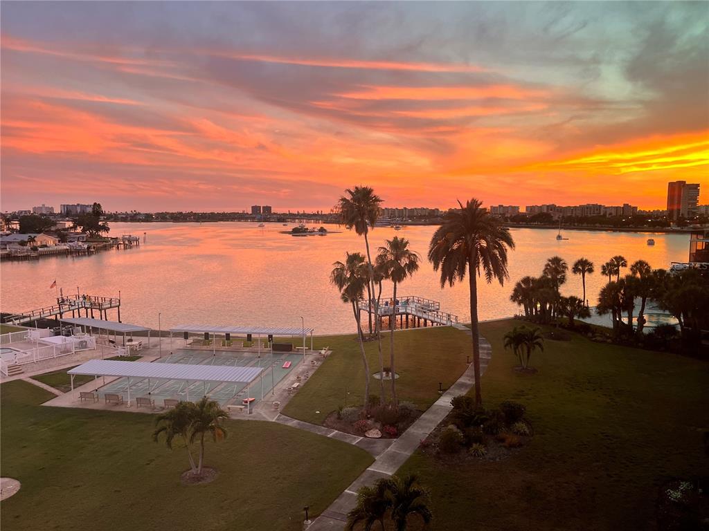 An elevated view of a waterfront lawn with palm trees, a dock, and a sunset — 1868 SHORE DRIVE S UNIT 607, SOUTH PASADENA, FL