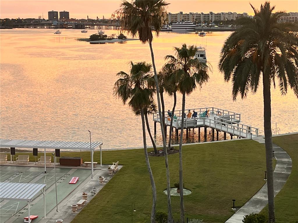 An elevated view of a waterfront lawn with palm trees, a dock, and a shuffleboard court — 1868 SHORE DRIVE S UNIT 607, SOUTH PASADENA, FL