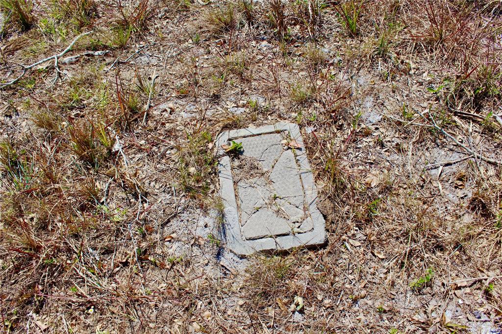 A cracked concrete utility box cover sits embedded in dry grass and sandy soil — 7 WAKE COURT, PLACIDA, FL