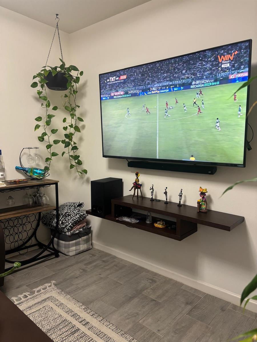 A living room features a wall-mounted television, a floating shelf, and a hanging plant — 1598 Leeward Avenue SE, Palm Bay FL 32909, PALM BAY, FL