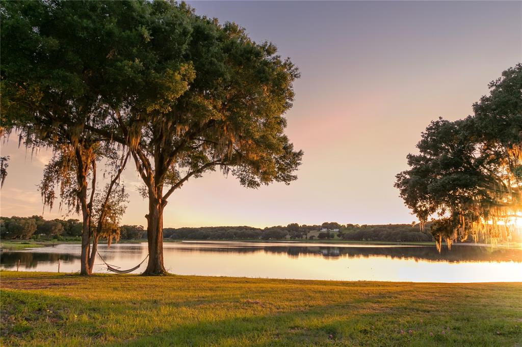 A hammock hangs between two large oak trees overlooking a calm lake at sunset — 34710 CLAYTON ROAD, DADE CITY, FL