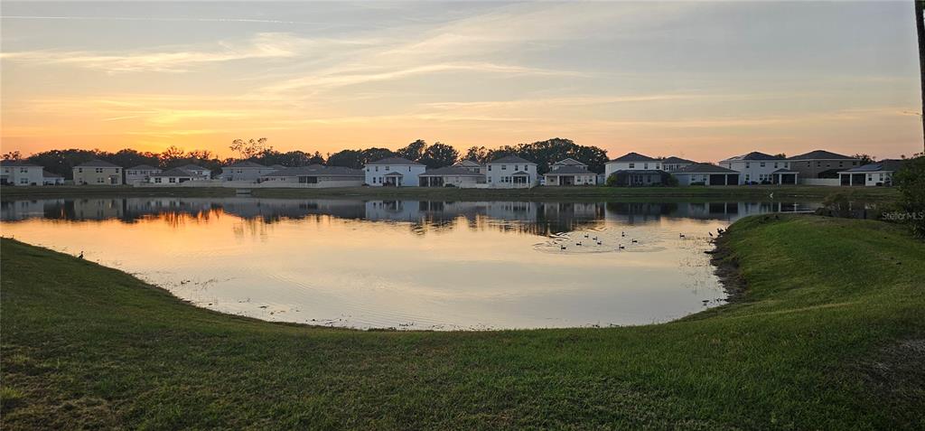 A pond reflects the sunset in front of a row of suburban houses — 1220 TAHITIAN SUNRISE DRIVE, PLANT CITY, FL